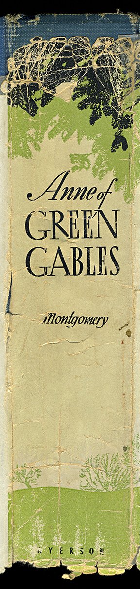 Anne-of-Green-Gables-book-spine-wall-art-museum-outlets.jpeg