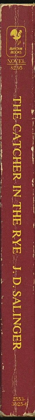 Catcher-in-the-Rye-Book-Spine-wall-art-museum-outlets.jpeg