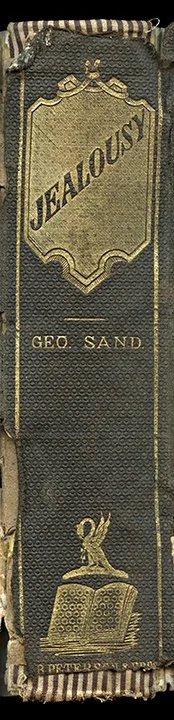 Jealousy--book-spine-wall-art-museum-outlets.jpeg