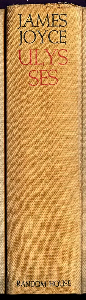 Ulysses--book-spine-wall-art-museum-outlets.jpeg