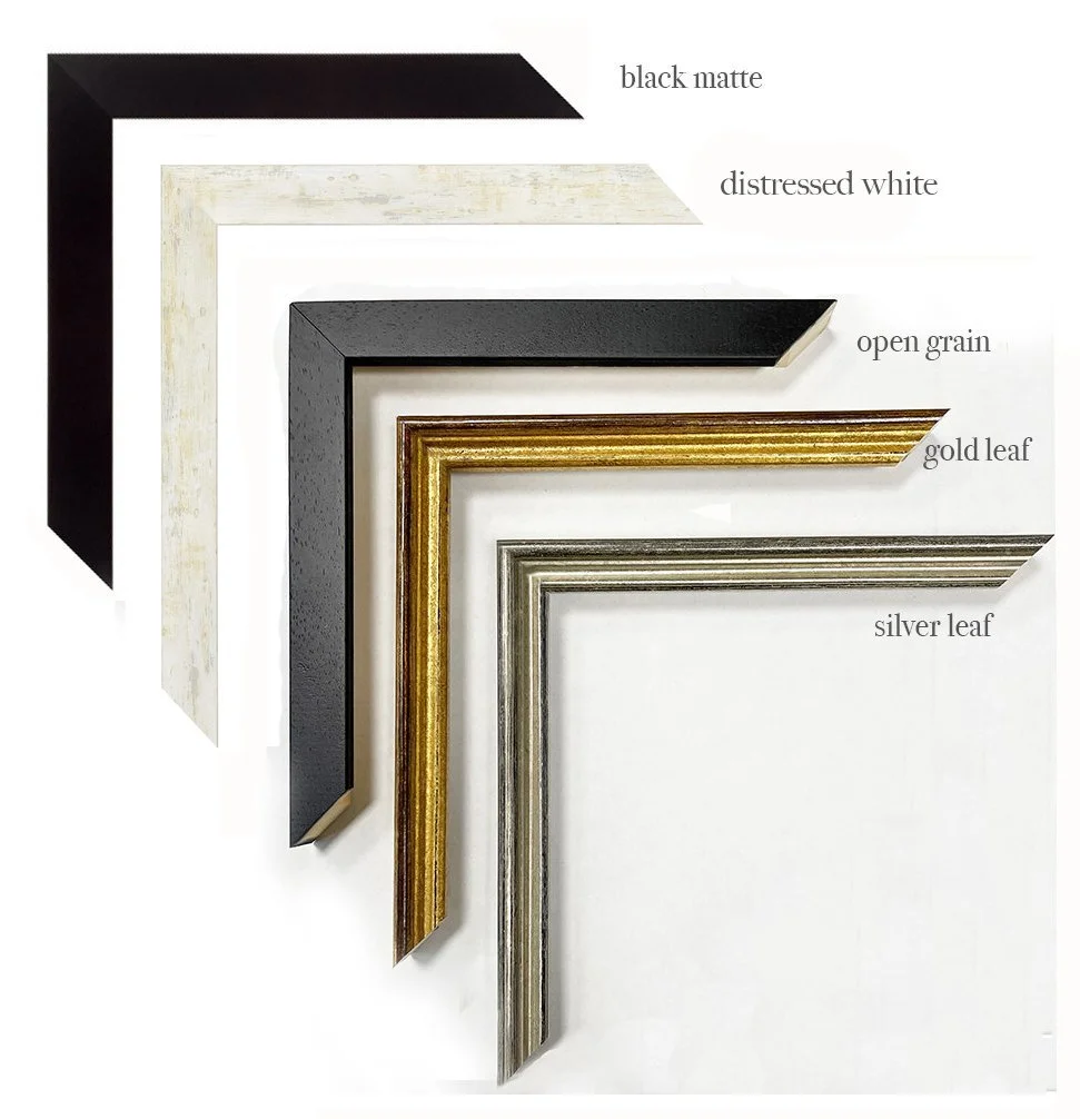 spine-frames (1).jpeg