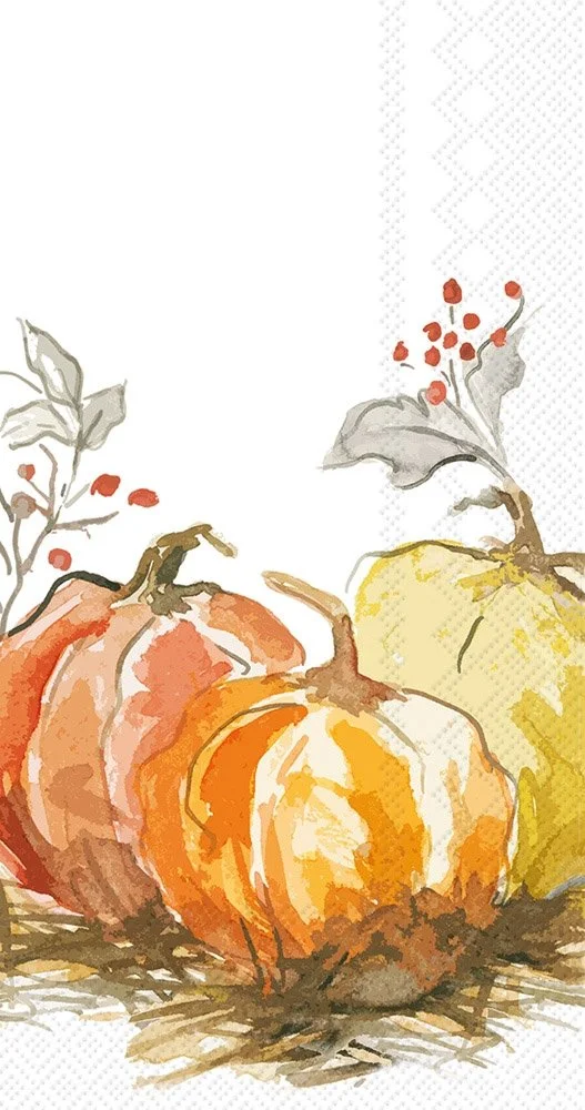 pumpkin-guest-towel-museum-outlets.jpg