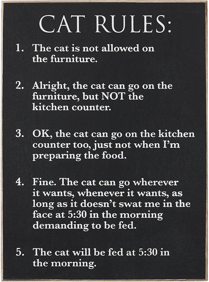 cat-rules-wood-sign-museum-outlets.jpg