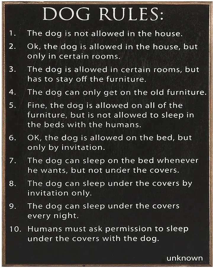 dog-rules-wood-sign-museum-outlets.jpg