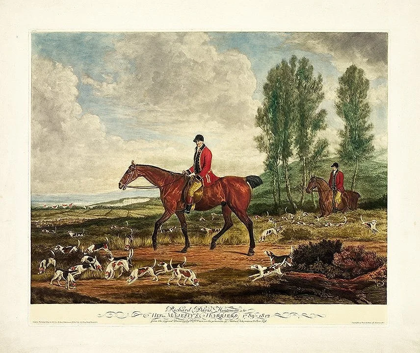 Fox Hunt  Fine Art Print