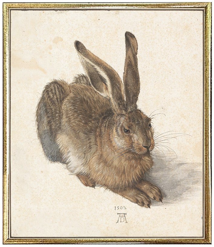 durer-young-hare-rabbit-antique-fine-art-prints-museum-outlets.jpg