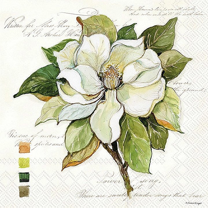 https://images.squarespace-cdn.com/content/v1/539dffebe4b080549e5a5df5/1698865777153-XNUB72DPPW1N1LMC3WC2/magnolia-bloom-decorative-napkins-museum-outlets.jpg?format=1000w