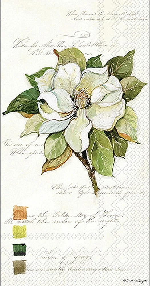 magnolia-bloom-decorative-guest-towel-museum-outlets.jpg