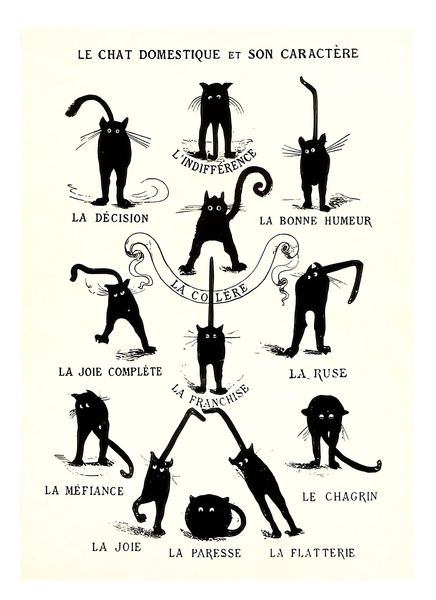 domestic-cat-characters-note-card-museum-outlets.jpg