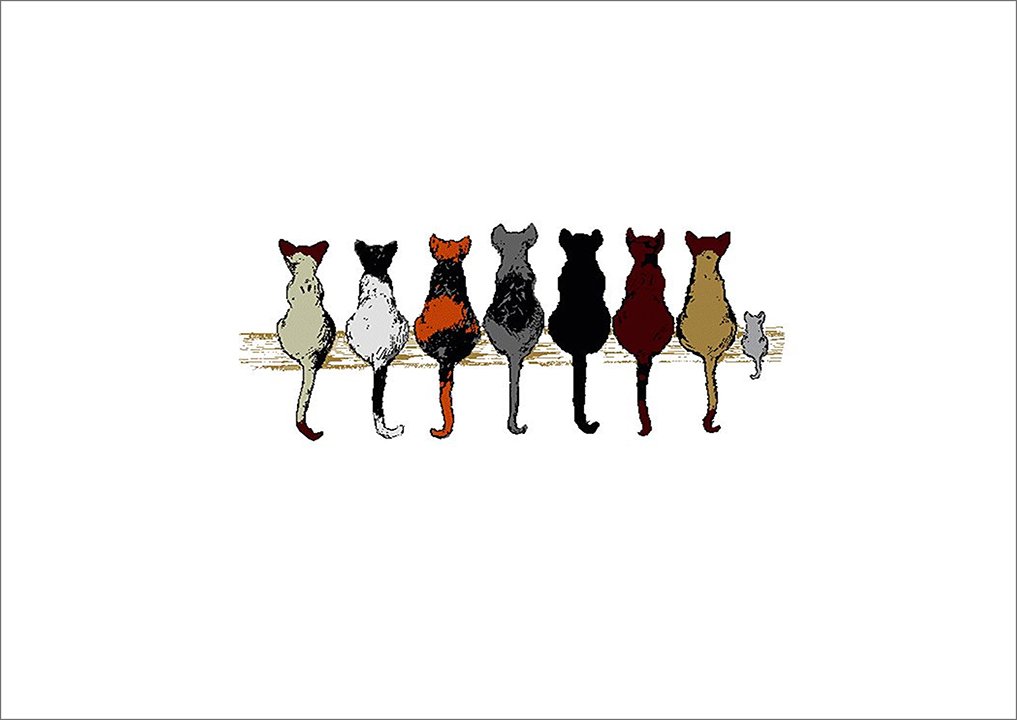 cats with attitudes notecard