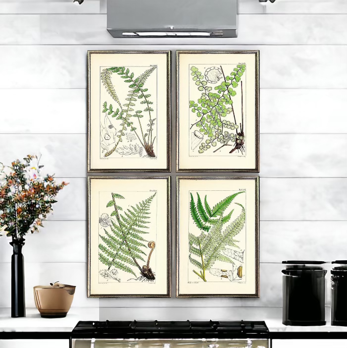 Antique Ferns Prints Framed Small Wall Grouping