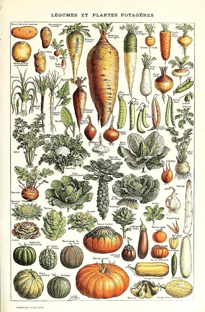 legumes-vintage-vegetables-poster.jpg