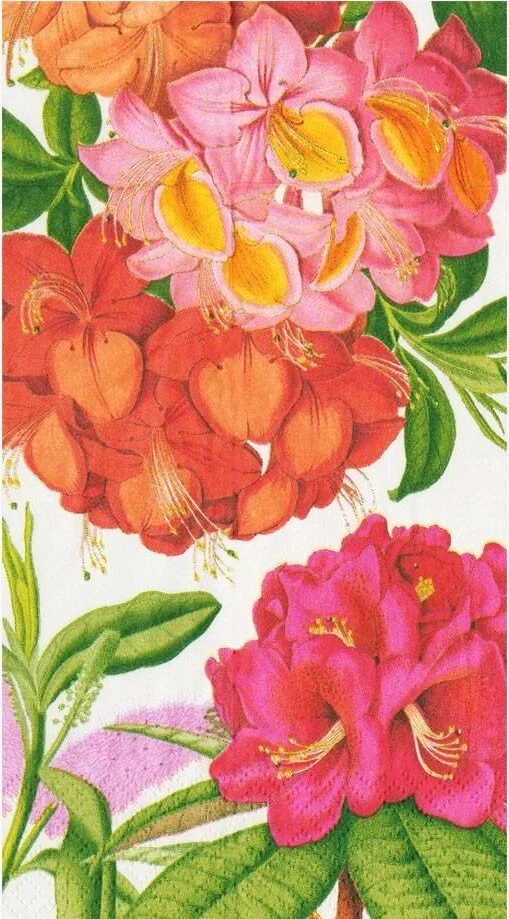 caspari-jefferson-garden-floral-paper-guest-towels-museum-outlets.jpg