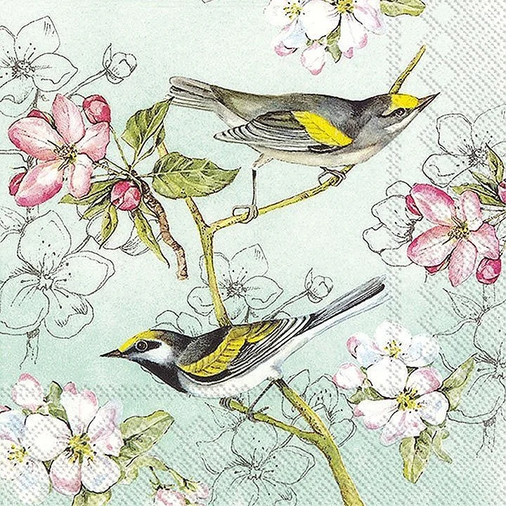 birds-symphony-decorative-paper-napkins-museum-outlets.jpg
