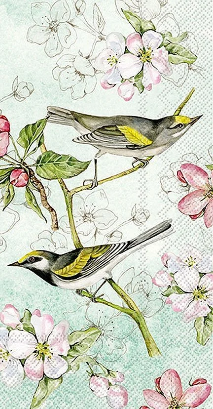 birds-symphony-paper-napkins-germany-museum-outlets.jpg