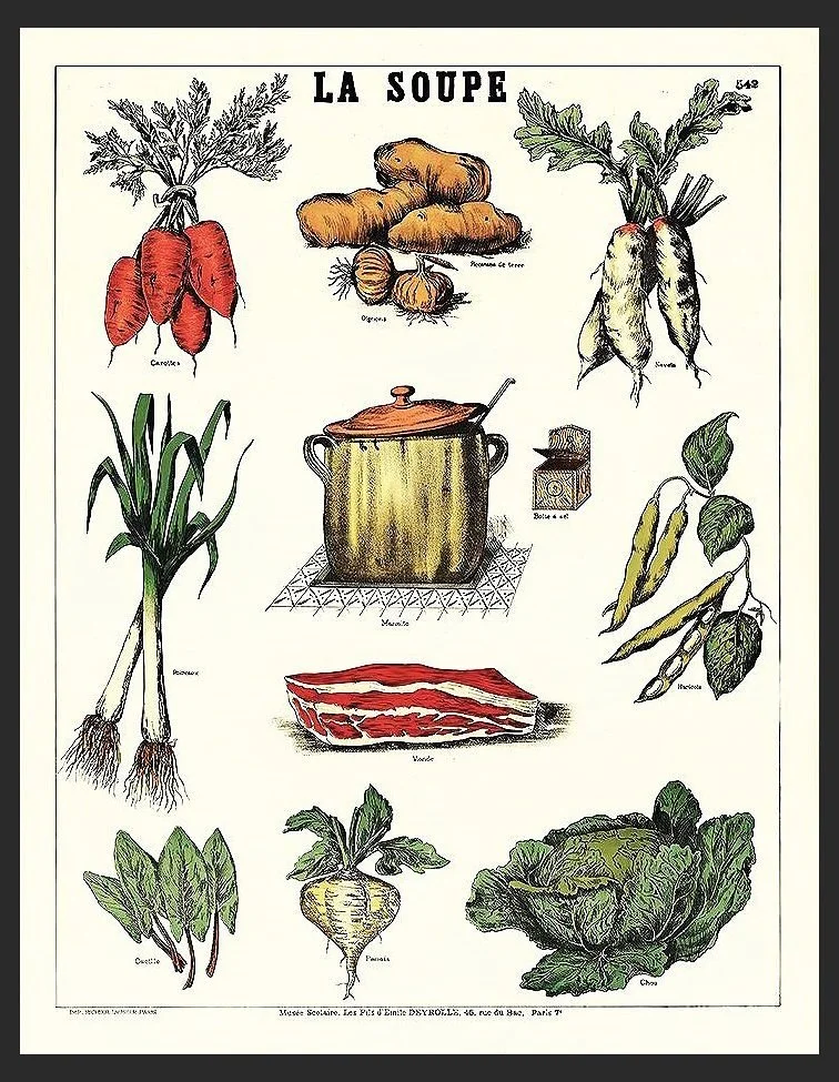 La Soupe Vintage French Botanical Poster