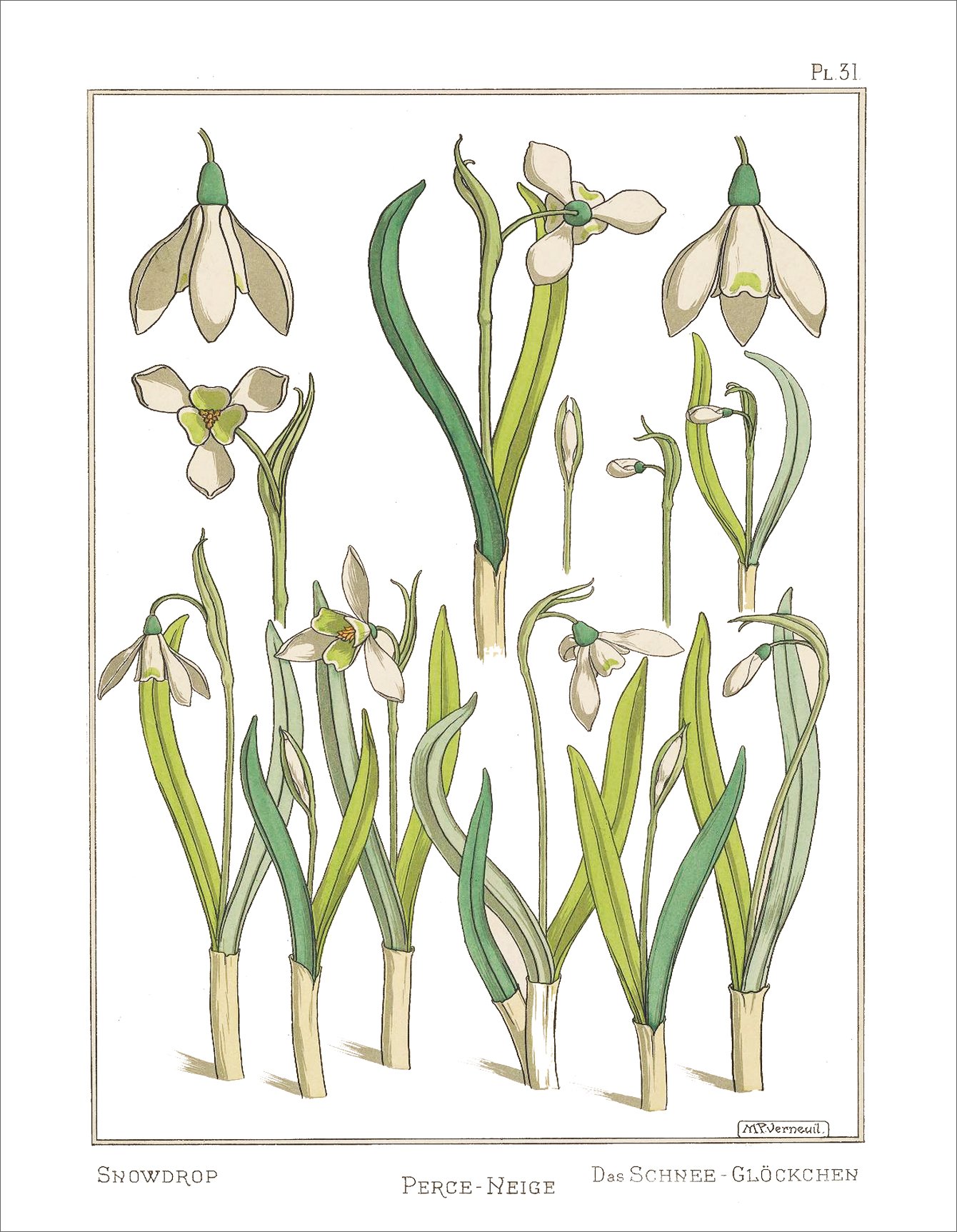 snowcap elegant botanical birthday card