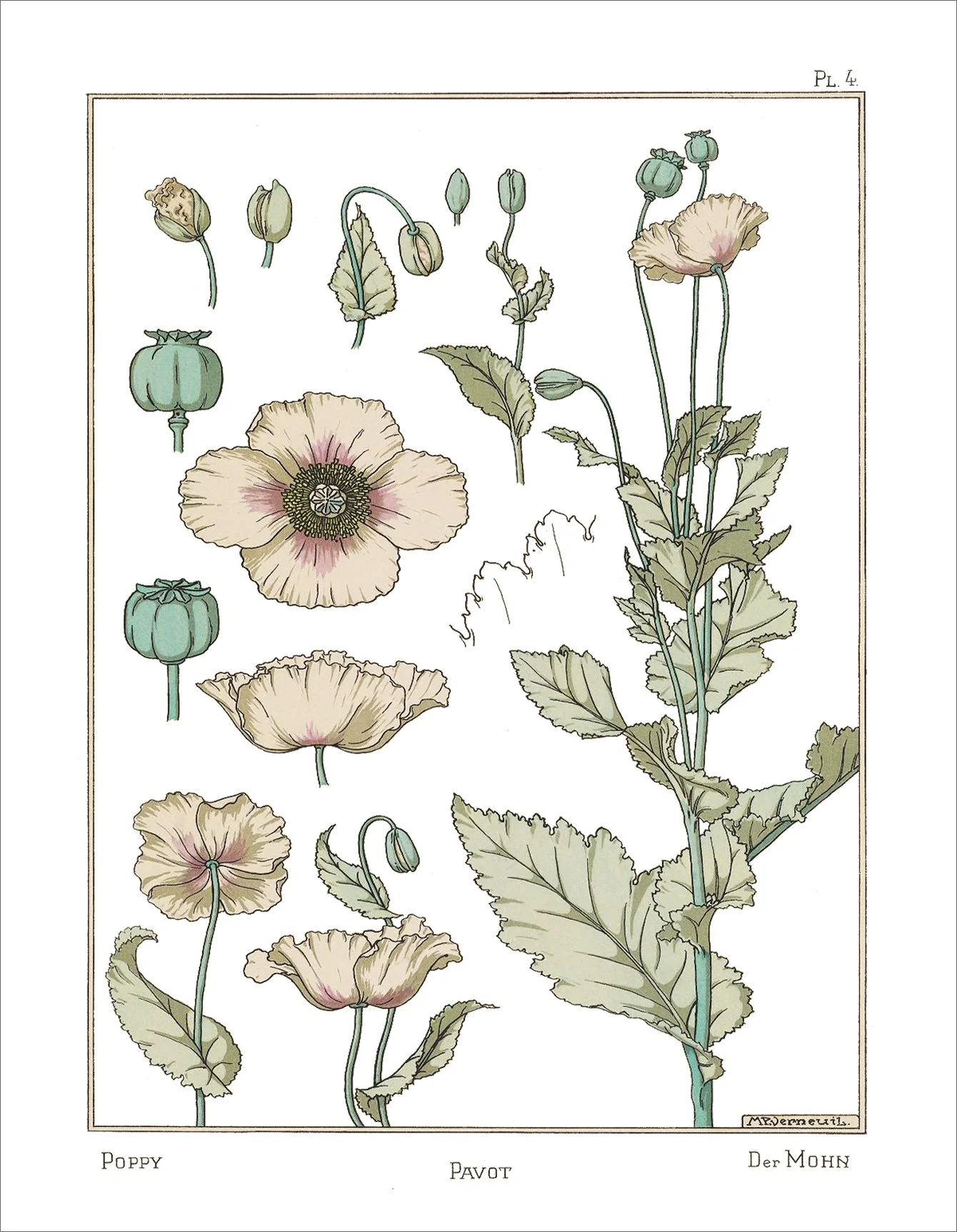 poppy elegant birthday card
