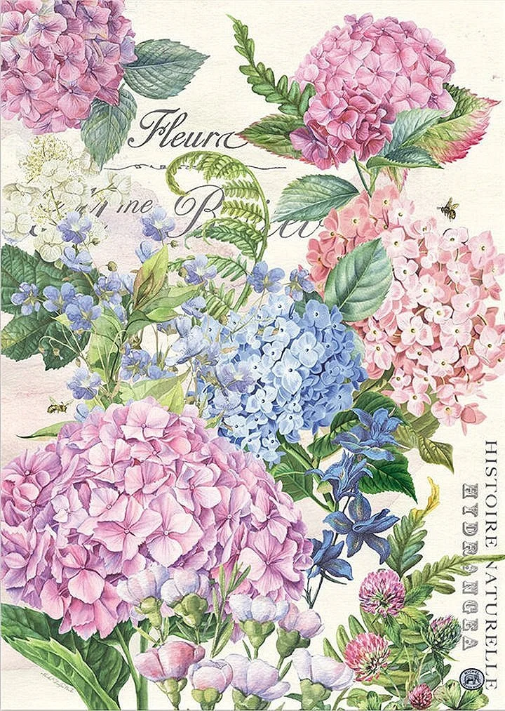 wild-hydrangeea-cotton-kitchen-towel-museum-outlets.jpg
