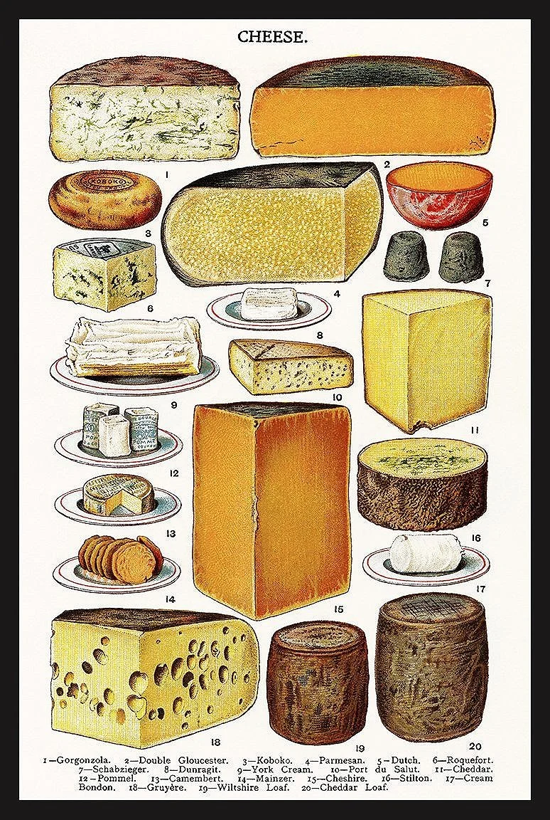 vintage-cheese-poster--museum-outlets.jpg