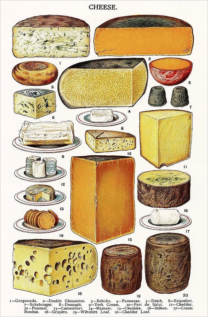 vintage-cheese-poster-museum-outlets.jpg