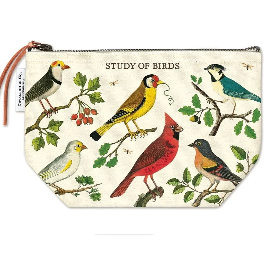 cavallini-birds-canvas-pouch-museum-outlets.jpg