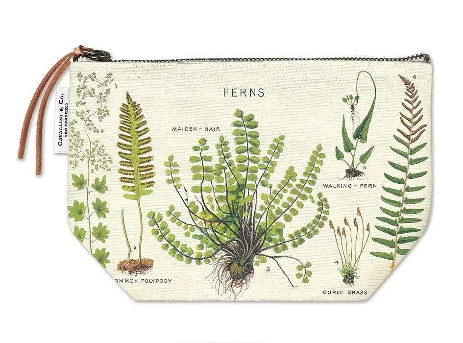 Cavallini Ferns Canvas Pouch