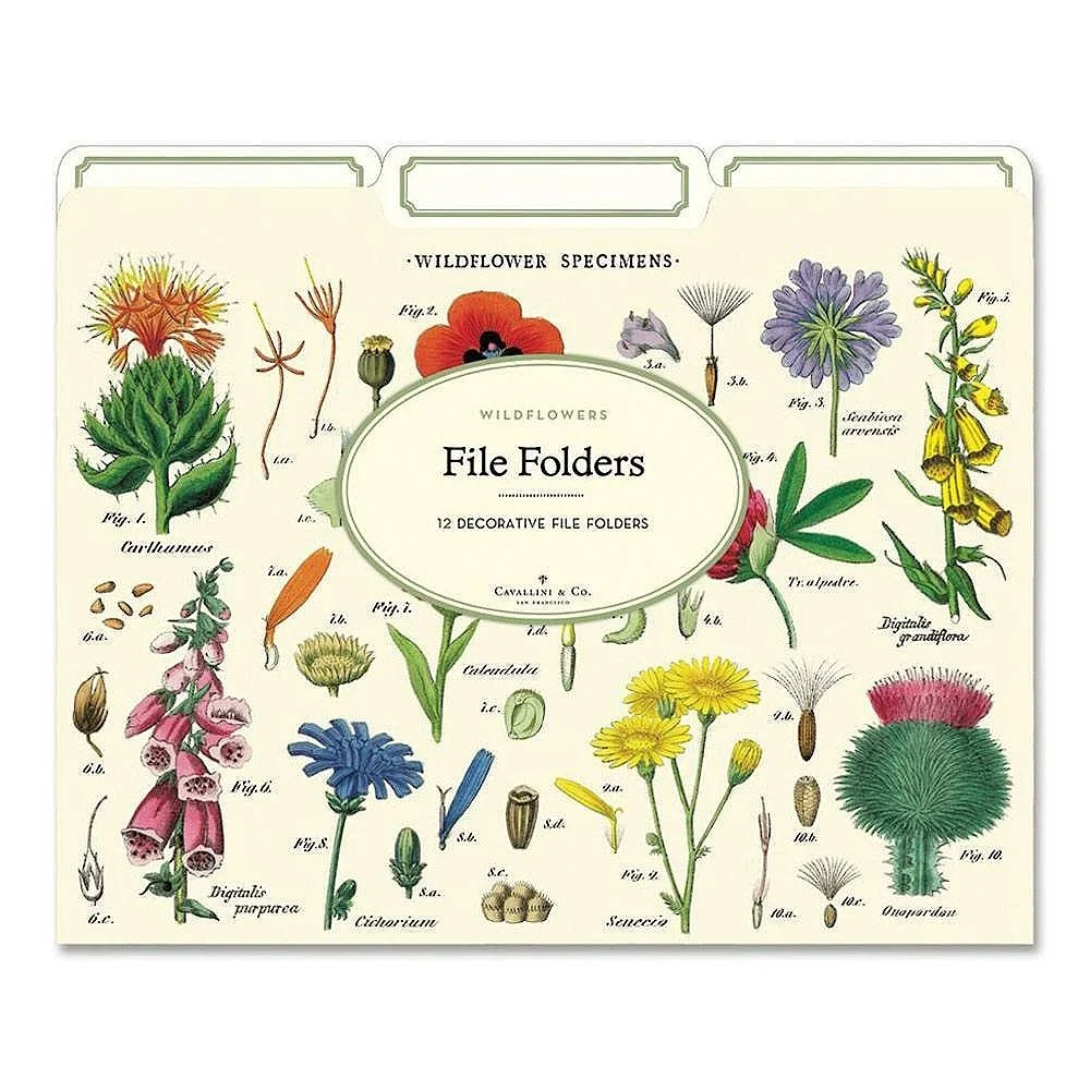 Cavallini Wildflowers File Folders