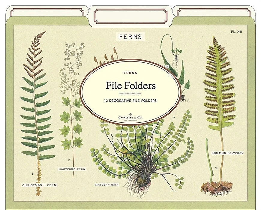 Cavallini Ferns File Folders