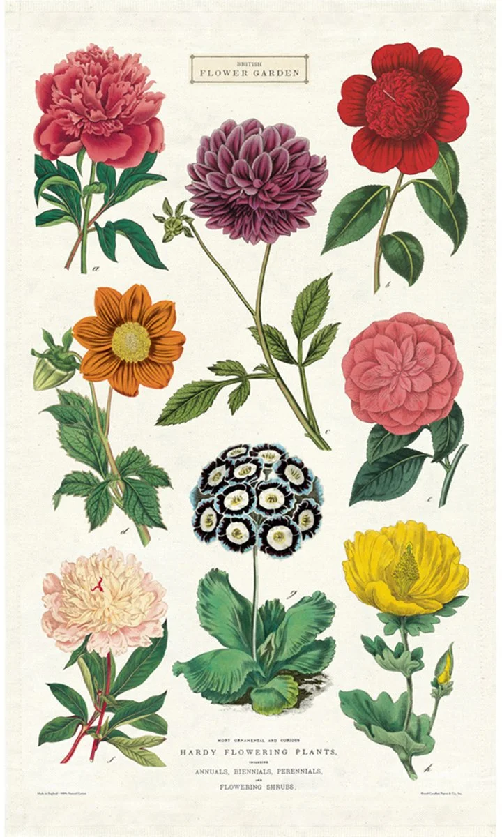 botanica-cavallini-tea-towel-museum-outlets.jpeg