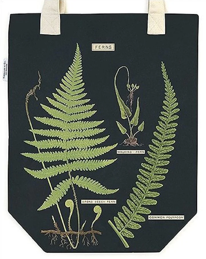 cavallini-canvas-tote-bags-ferns-museum-outlets.jpeg