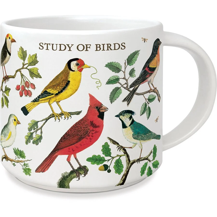 cavallini-birds-mug-museum-outlets.jpeg