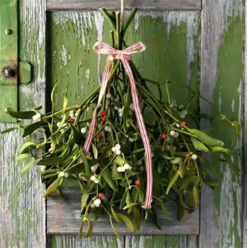 mistletoe-winter-evergreen-pine-eucalyptus-scented-soy-holiday-candle-zizzies-museum-outlets.jpg