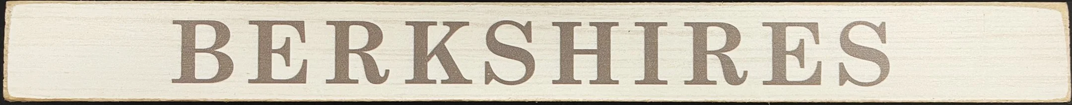 berkshires-wood-sitter-souvenir-museum-outlets.jpg