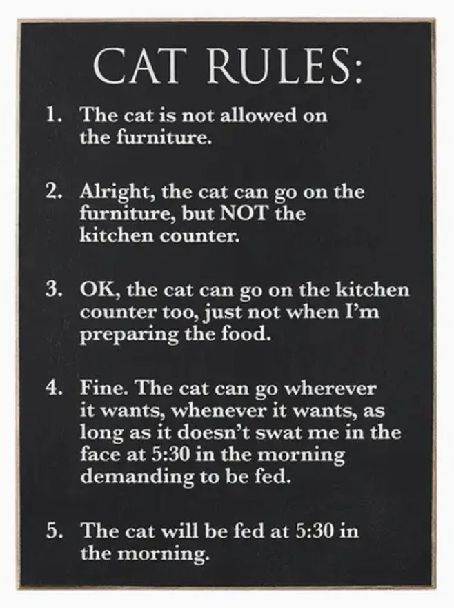 cat-house-rules-word-block-wood-sign-just-words-museum-outlets.jpg