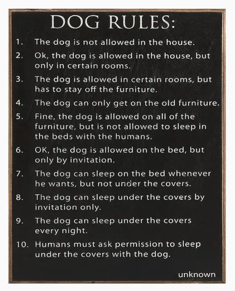 dog-house-rules-block-sign-wood-just-words-museum-outlets.jpg