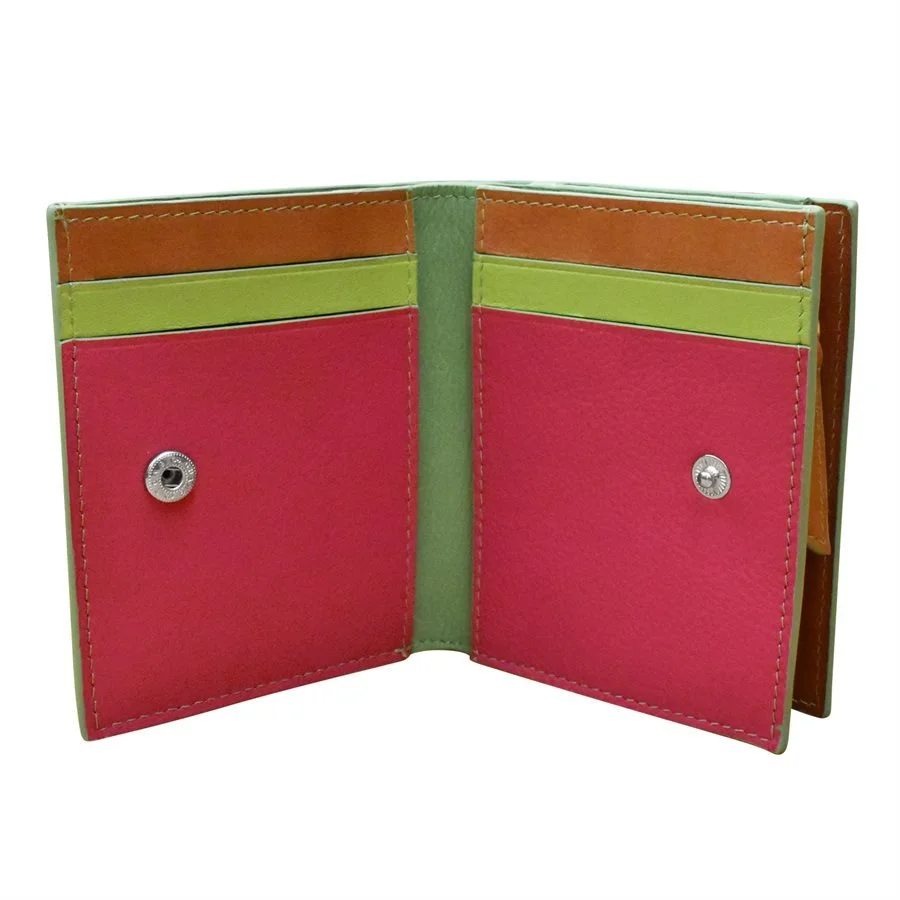 sage-multicolor-leather-small-snap-wallet--ili-7177-museum-outlets.jpg