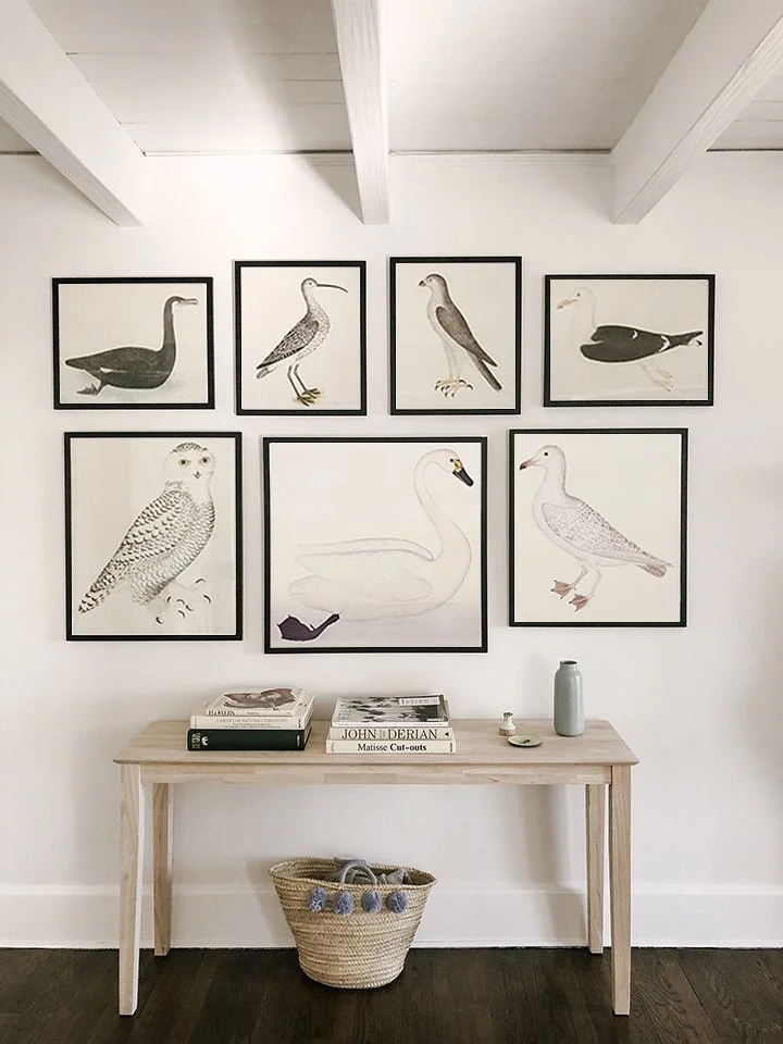 swedish-olof-rudbeck-swedish-bird-prints-museum-outlets.jpg
