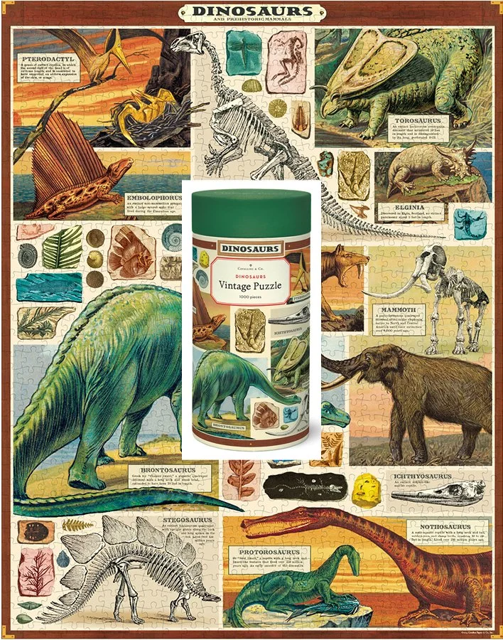 cavallini-dinosaur-puzzle-museum-outlets.jpg