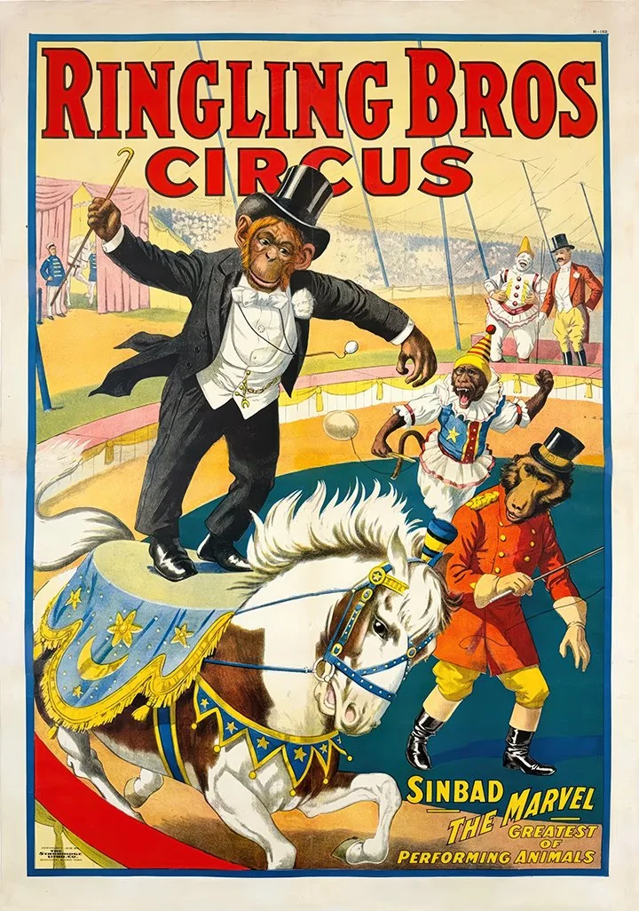 Ringling-Bros-Sinbad-the-marvel-vintage-circus-poster-museum-outlets.jpg