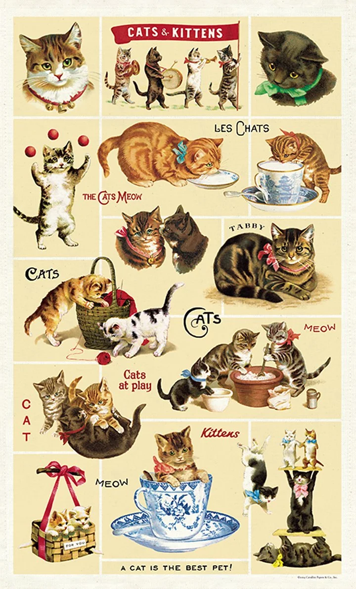 cavallini-vintage-cats-tea-towel-museum-outlets.jpg