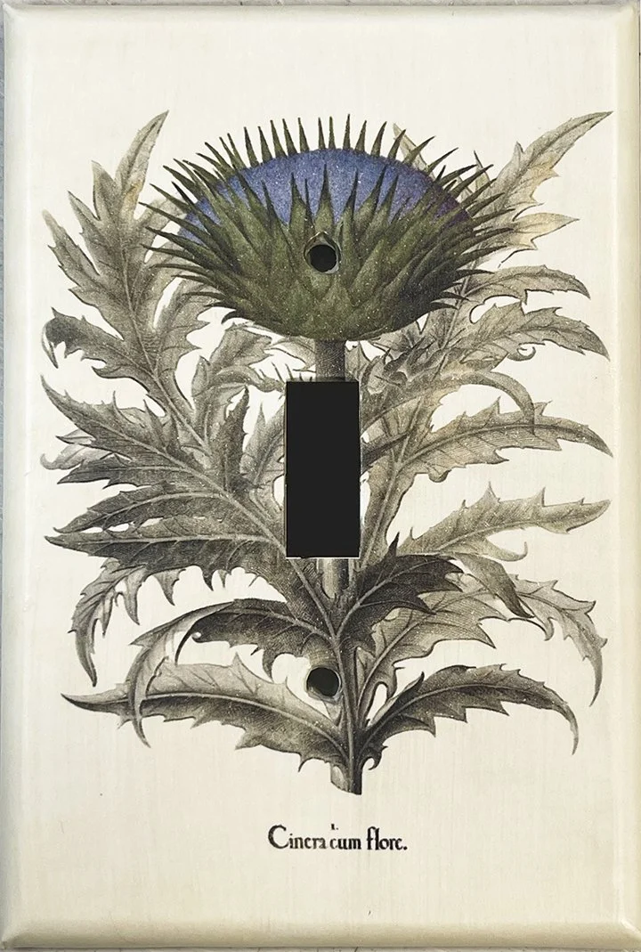 thistle-decoupage-decorative-light-switchplate-museum-outlets.jpg