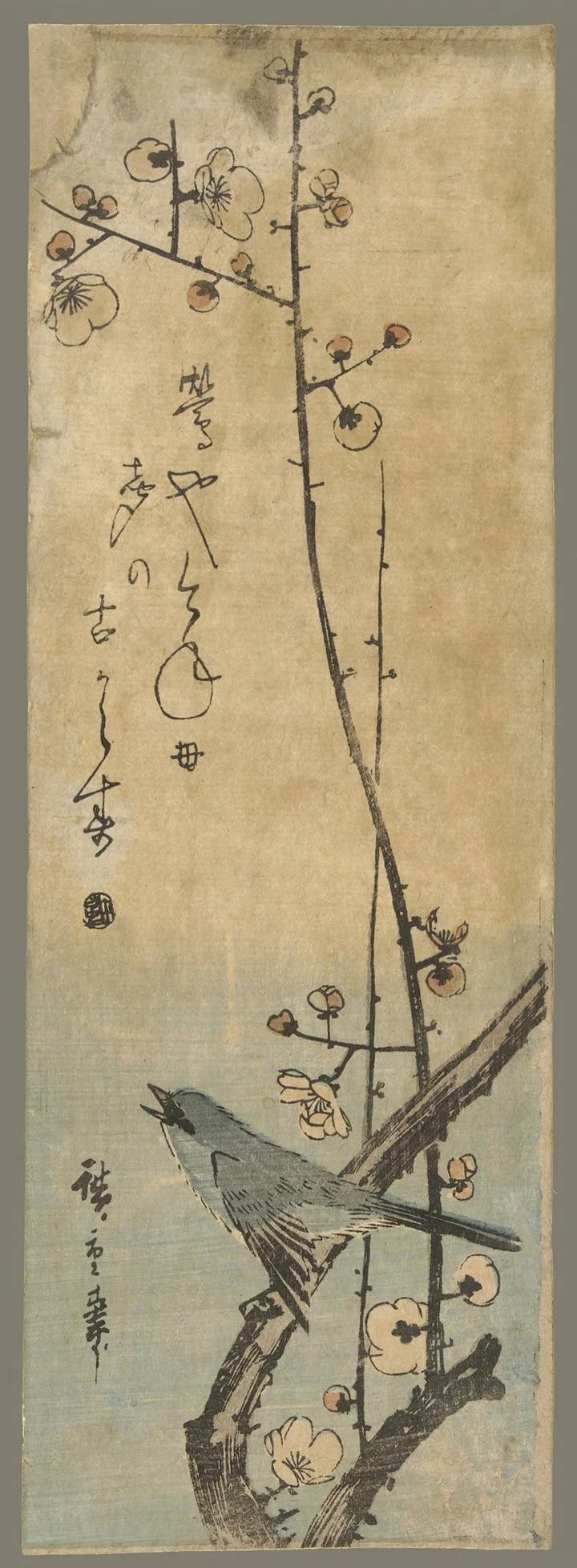 japanese blue warbler antique asian print