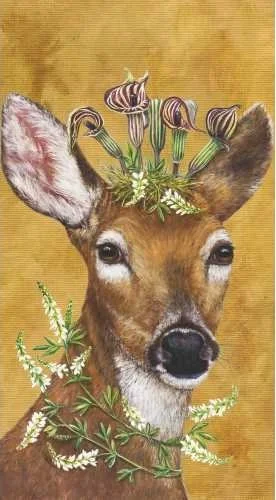 vicki-sawyer-woodland-princess-decorative-napkins-museum-outlets.jpg