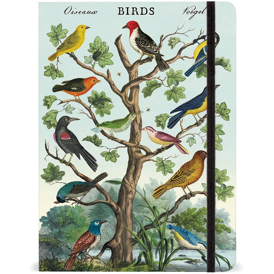 birds-cavallini-notebook-museum-outlets.jpg