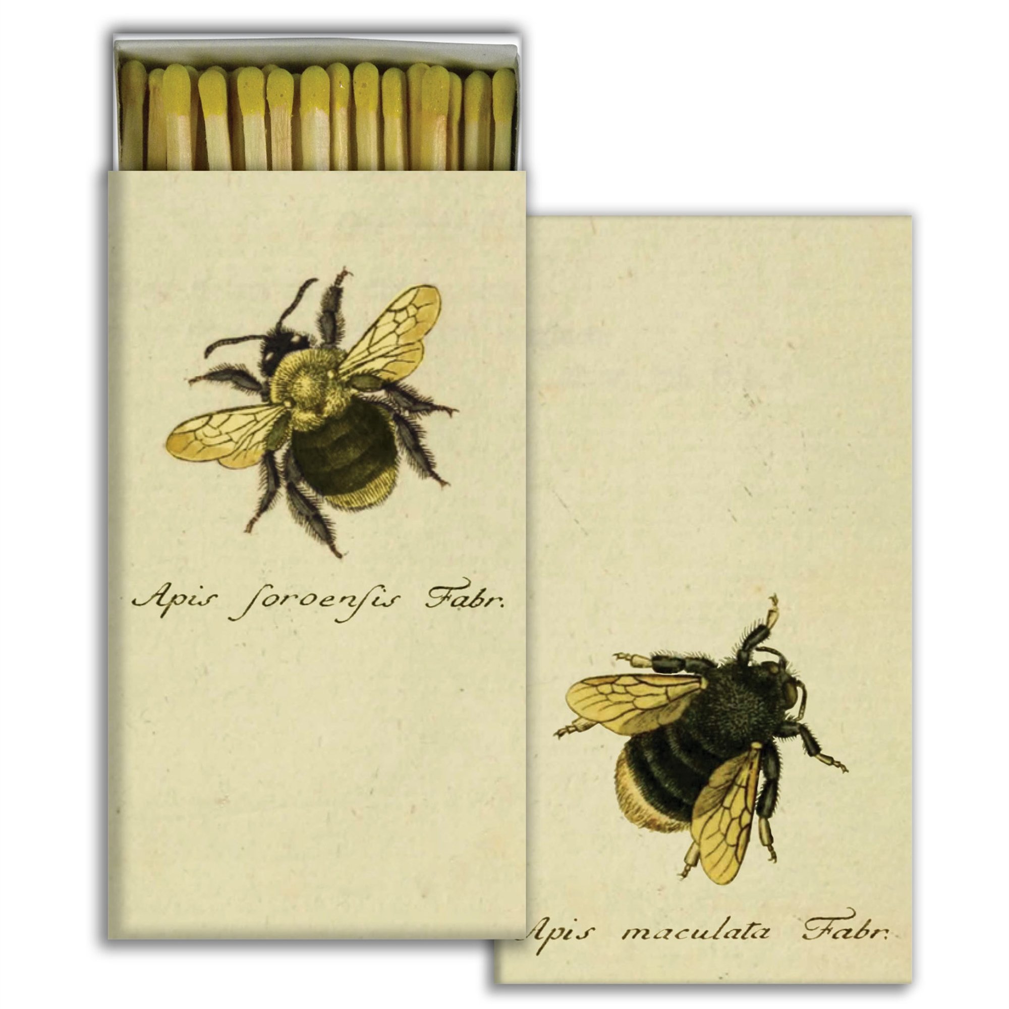 bumble-bee-decorative-matches-museum-outlets.jpeg