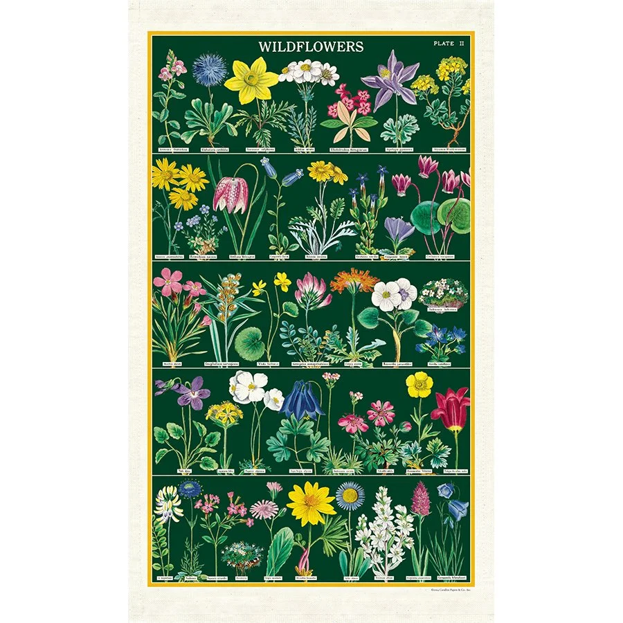 wildflowers-2-green-with-flowers-decorative-tea-towels-cavallini-museum-outlets.jpeg