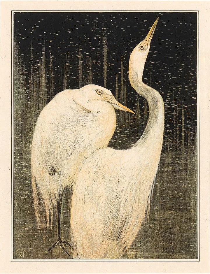 Hoytema-two-egrets-fine-art-prints-museum-outlets.jpg