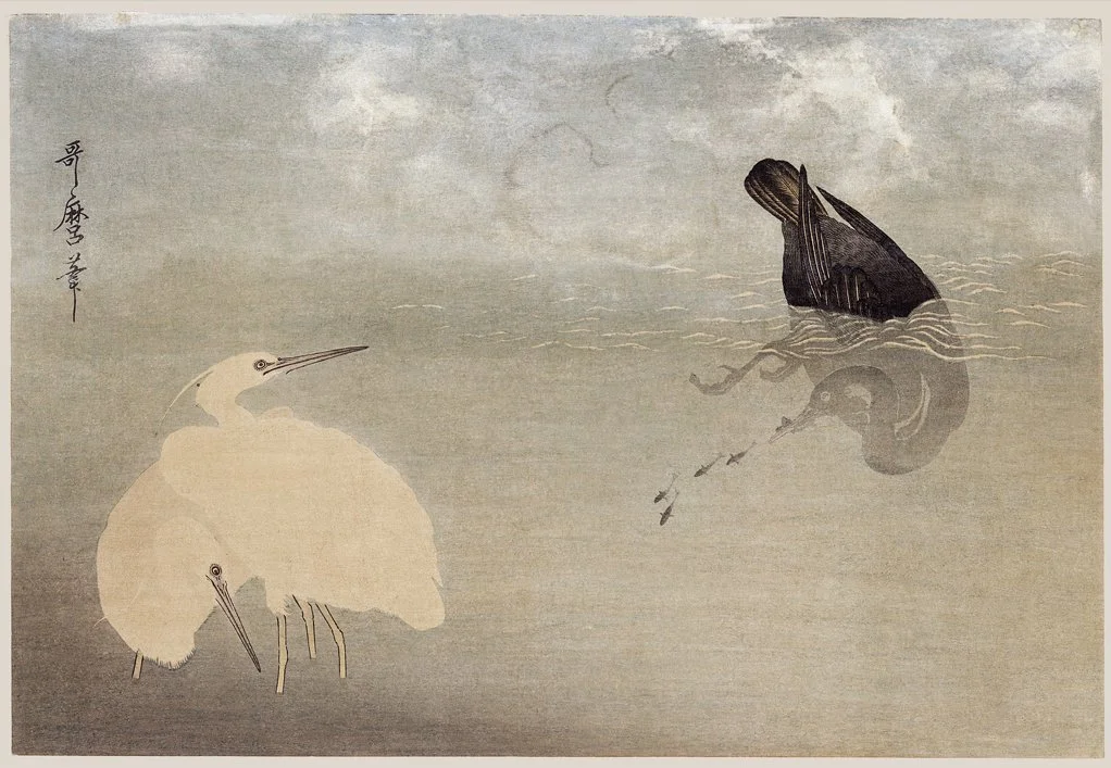 White Crane Fishing Antique Asian Art Print
