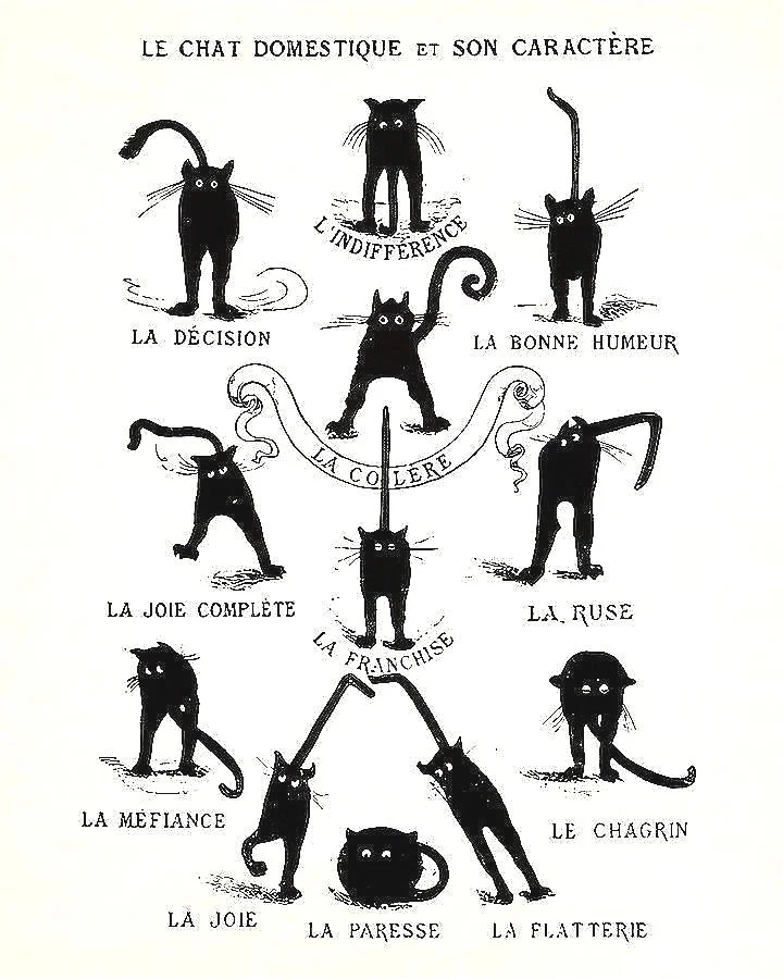 le-chat-domestique-et-son-caractere-cats-vintage-french-poster-museum-outlets.jpg
